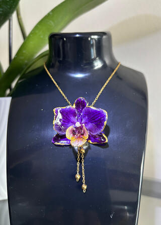 Orchid -C-1
