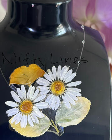 Oxeye Daisy [ODC-3]