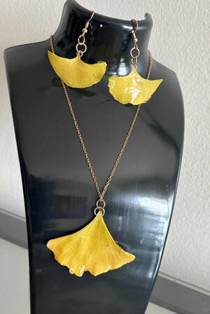 Ginkgo [G-GC -1]