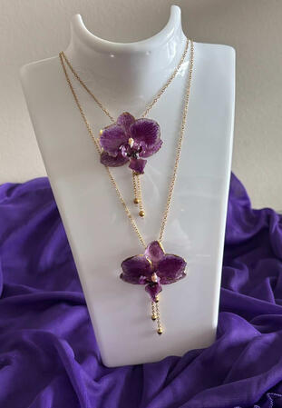 Orchid -CT-2