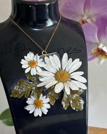 Oxeye Daisy [ODGC-7]