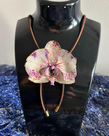 Orchid-B-BL-T1