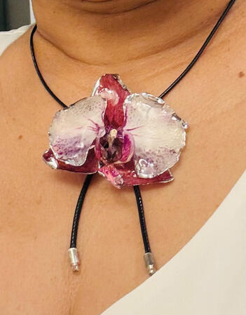 Orchid M-19