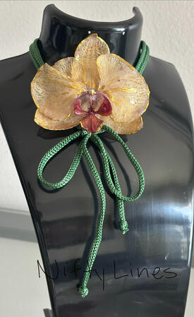 Orchid M-11