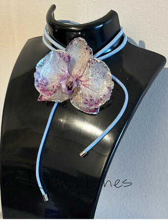 Orchid M-8