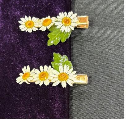 Hair Clip 16