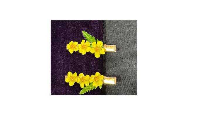 Hair Clip 15